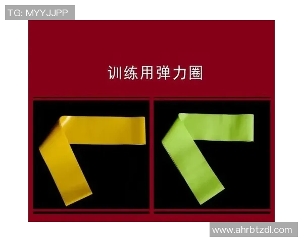 成都羽毛球队耐力表现数据分析探讨与训练策略优化研究